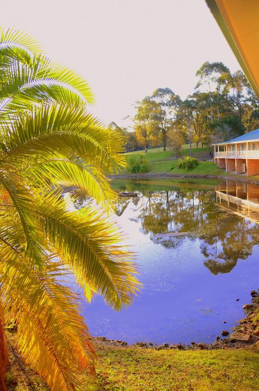 Golf Club Motor Inn Wingham Ngoại thất bức ảnh